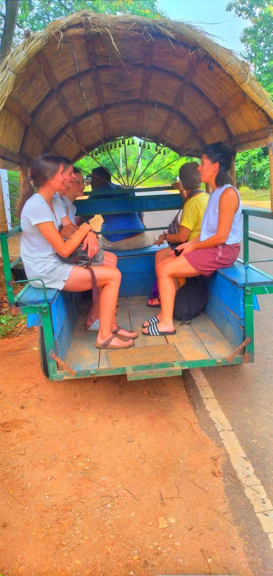 Sigiriya Nature Resort Екстериор снимка